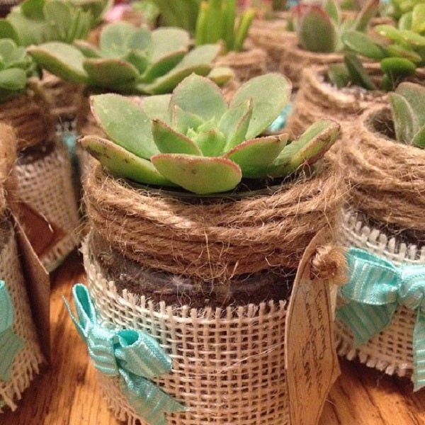 21 Eco-friendly Wedding Favors for the Eco-conscious Bride - Forever Wedding Favors