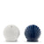 Seashell Salt & Pepper Shaker Set - Forever Wedding Favors