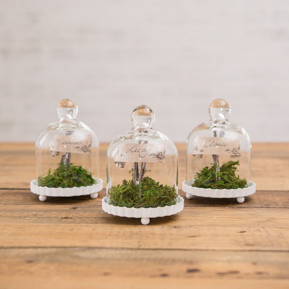 Small Glass Bell Jar With White Base Wedding Favor - Forever Wedding Favors